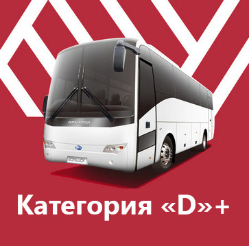 Пакет - Категория &laquo;D&raquo;+
